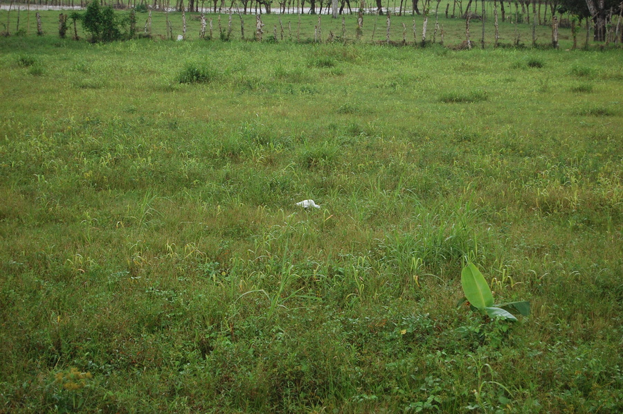 Girl in a jacket