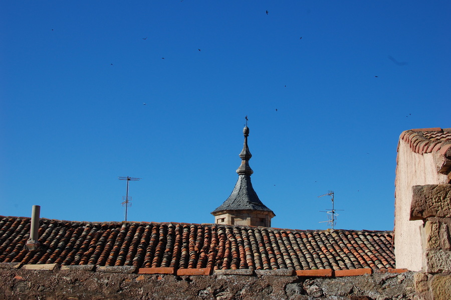 ../Bilder/2013/07/13/Molina/Fotos/DSC_8440.JPG