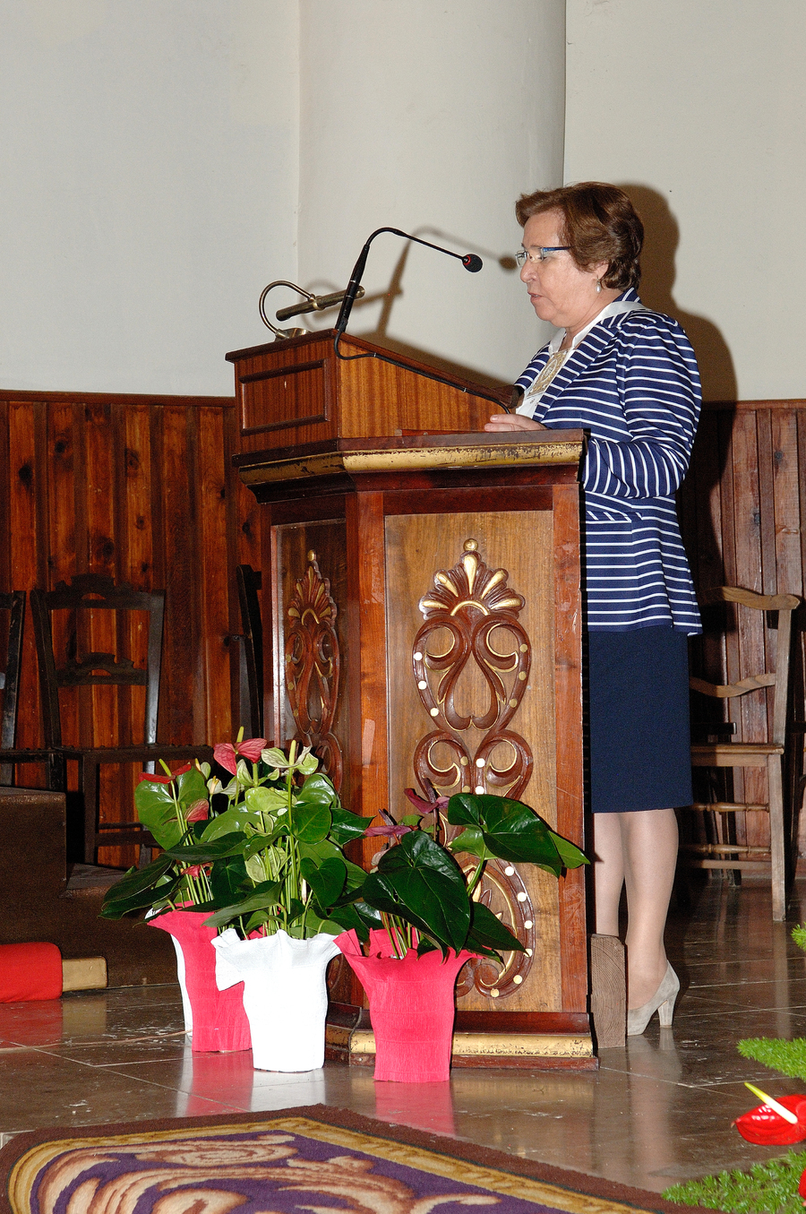 ../Bilder/2015/08/22/ElCarmenCoronacion1036/Fotos/Coronación_059.jpg
