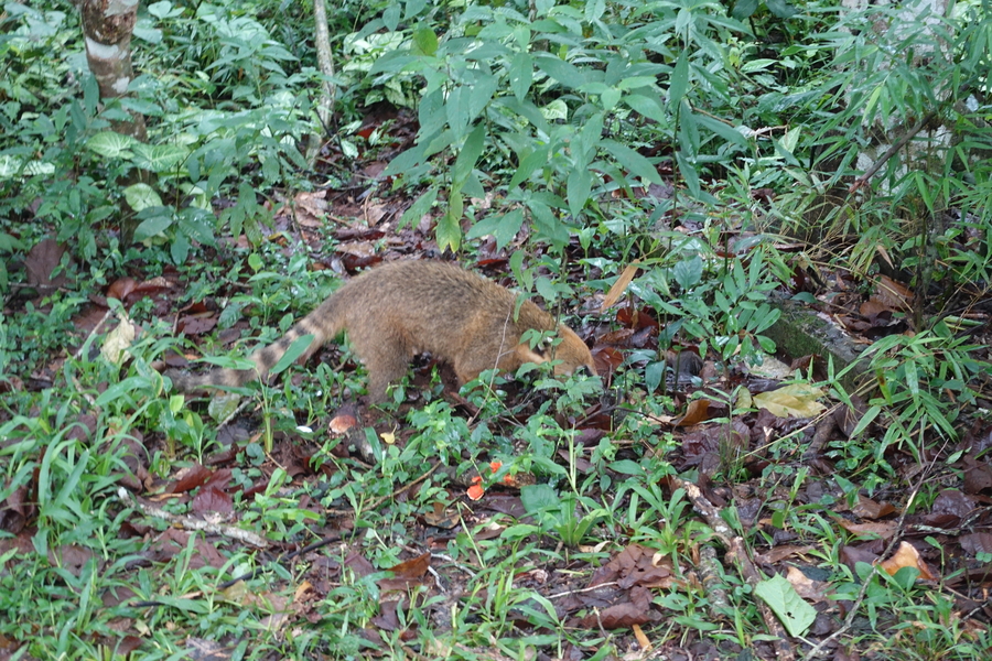 Girl in a jacket